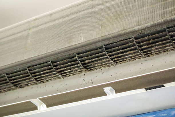 Best Residential Air Duct Cleaning  in Horicon, WI